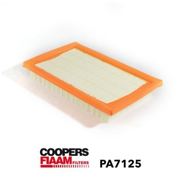 PA7125 Coopers FIAAM